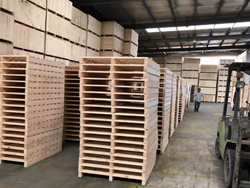 免熏蒸木托盘如何鉴别质